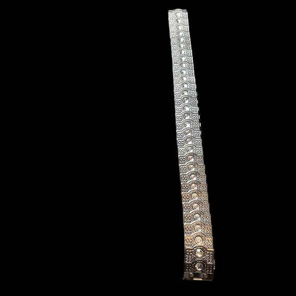 Chico’s PewterToned Scale Stretch Belt with Rhinestone Accents On Each Piece - Picture 4 of 14